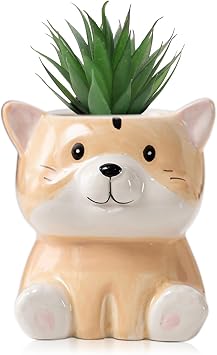 DIYOMR Cute Animals Planter, Mini Ceramic Cartoon Animal Shaped Succulent Flower Pot Indoor Air Plants Holder, Smooth Shiny Decorative Flower Cactus Planter - Plants Not Included Groundhog