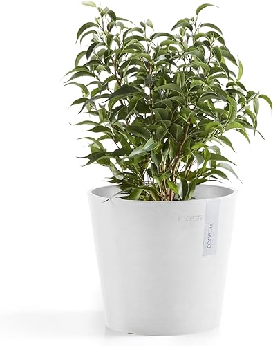 Miniatura 2 de Ecopots Amsterdam - Maceta redonda de plástico reciclado duradera para interiores y exteriores color blanco puro 7 pulgadas