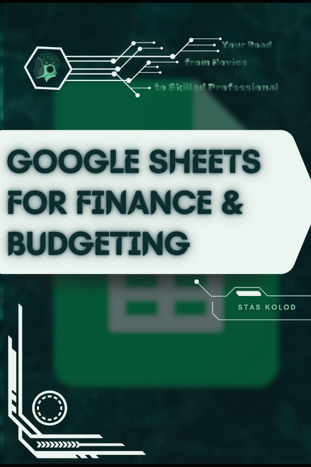 Google Sheets for Finance & Budgeting: Your Road from Novice to Skilled Professional