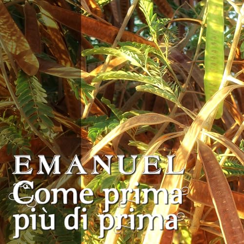  Come prima