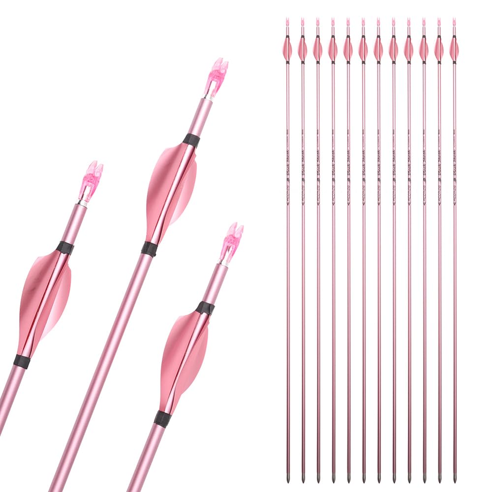 12 Stück ID 4.2mm Rosa Spiralfederpfeile Spine 500 600 700 800 900 1000 Pure-Carbon Pfeil für Compound Bogen Recurve Bogen Jagd Bogenschießen
