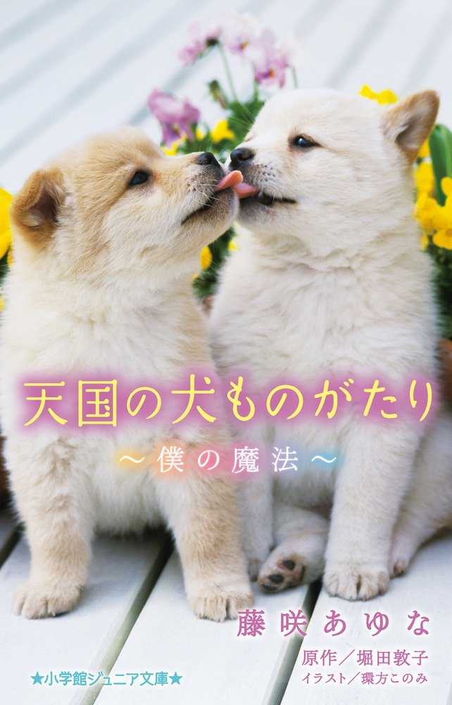 犬と少女 Amazon.co.jp: 天国の犬ものがたり~僕の魔法~ (小学館ジュニア文庫 ほ