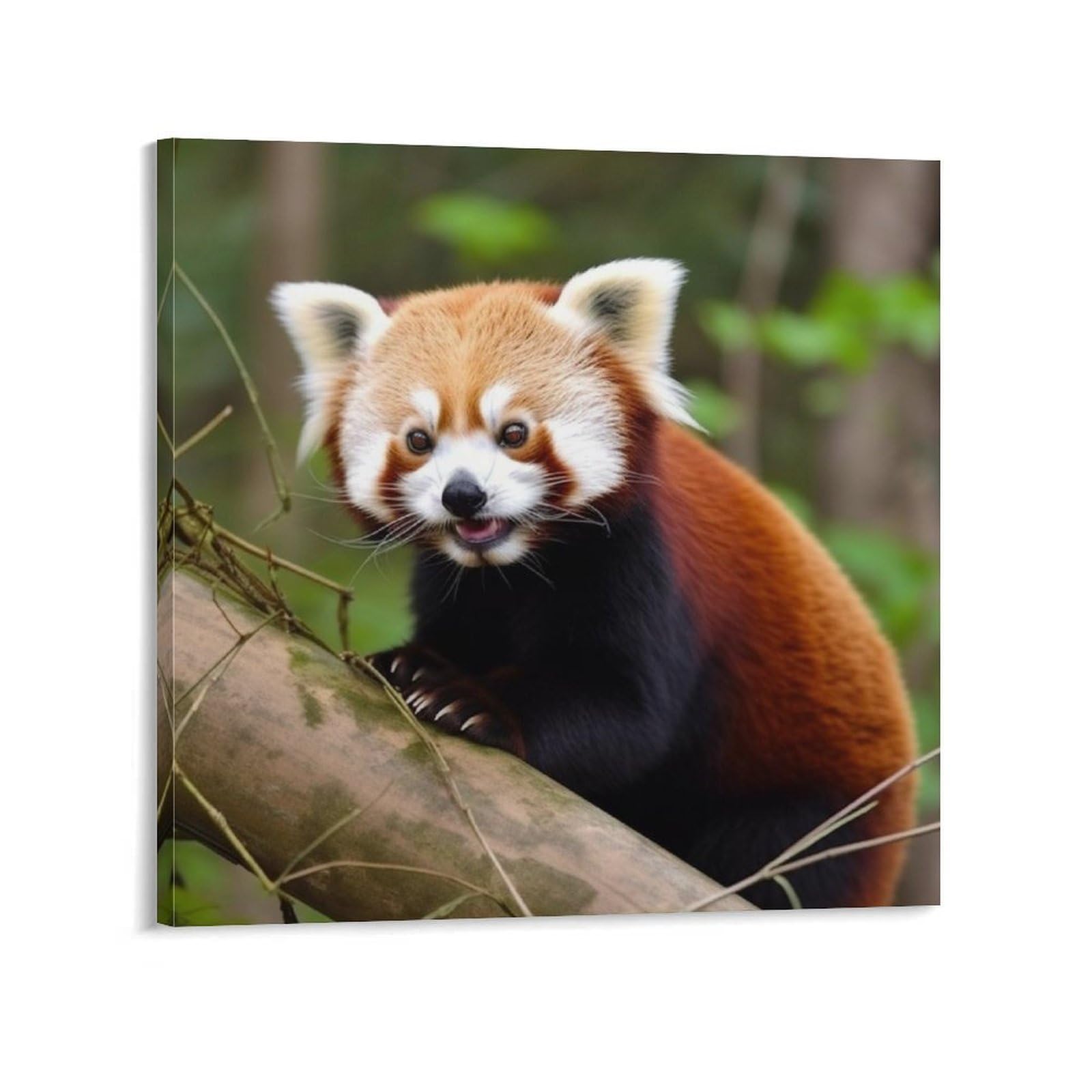 KLOPH Little Red Panda Canvas Wall Art for Living Room 08x8inch Modern Artwork Painting for Bathroom Hanging Canvas Prints Aesthetic Wallart for Bedroom Kitchen Office Wall Decor