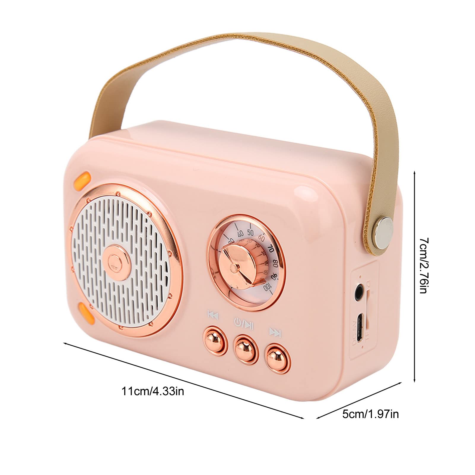 Sxhlseller Kinder Karaoke Maschine, Tragbarer Bluetooth Lautsprecher mit Mikrofon, für Kinder und Erwachsene