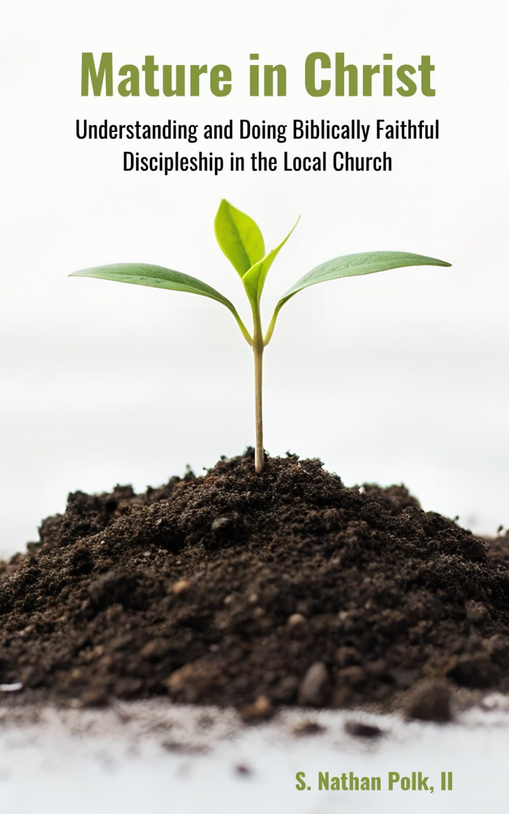 Mature in Christ: Understanding and Doing Biblically Faithful Discipleship in the Local Church