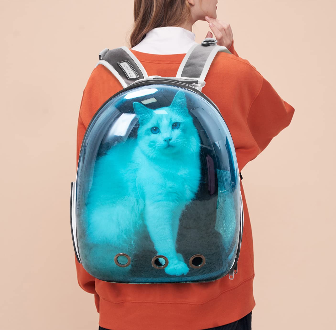 Nobleza-Mochila para Perros, Mochila Gato Transparente, Mochila Expansible Aprobada por Las Aerolíneas para Perros Pequeños, para Paseos, Senderismo o Camping