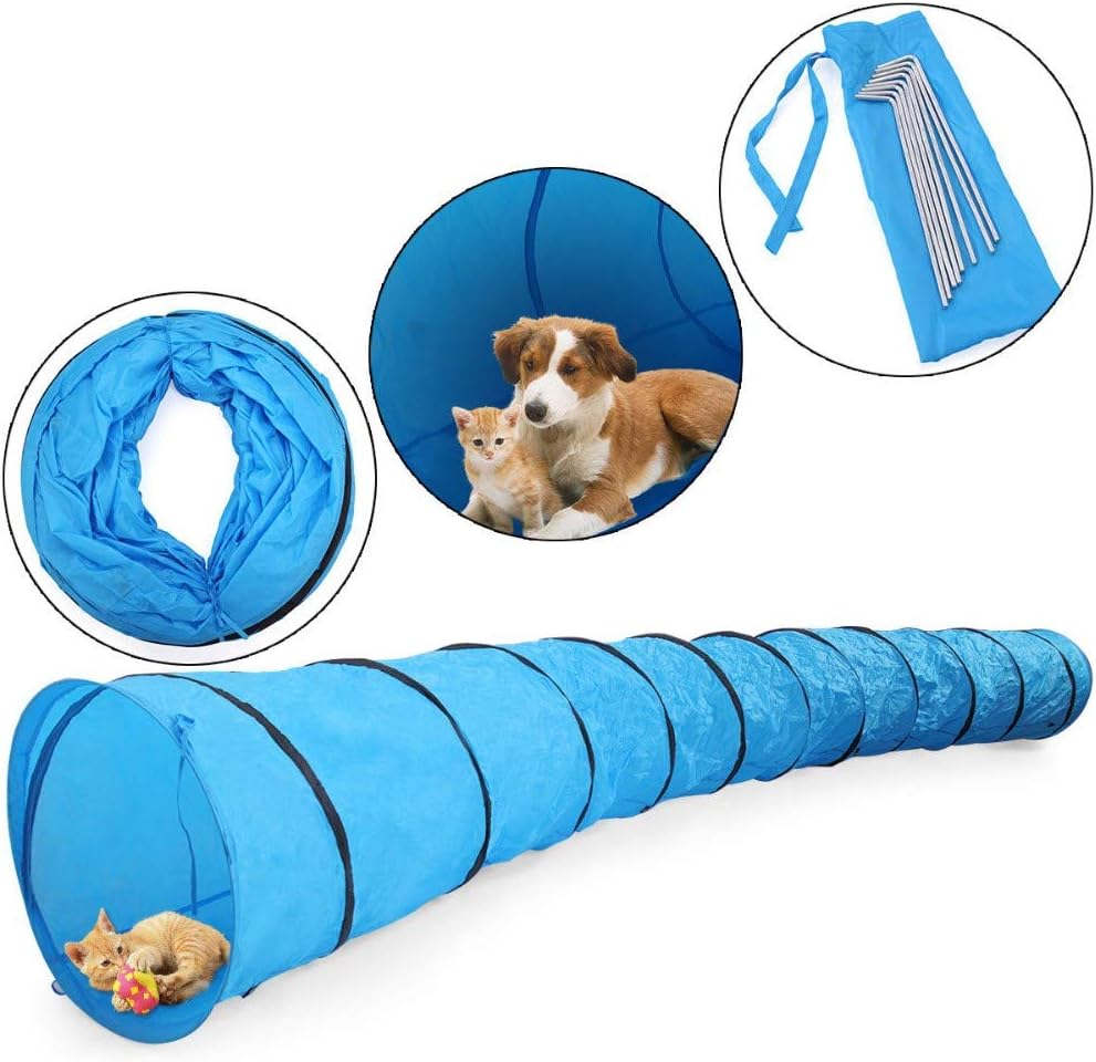 amazon dog tunnel