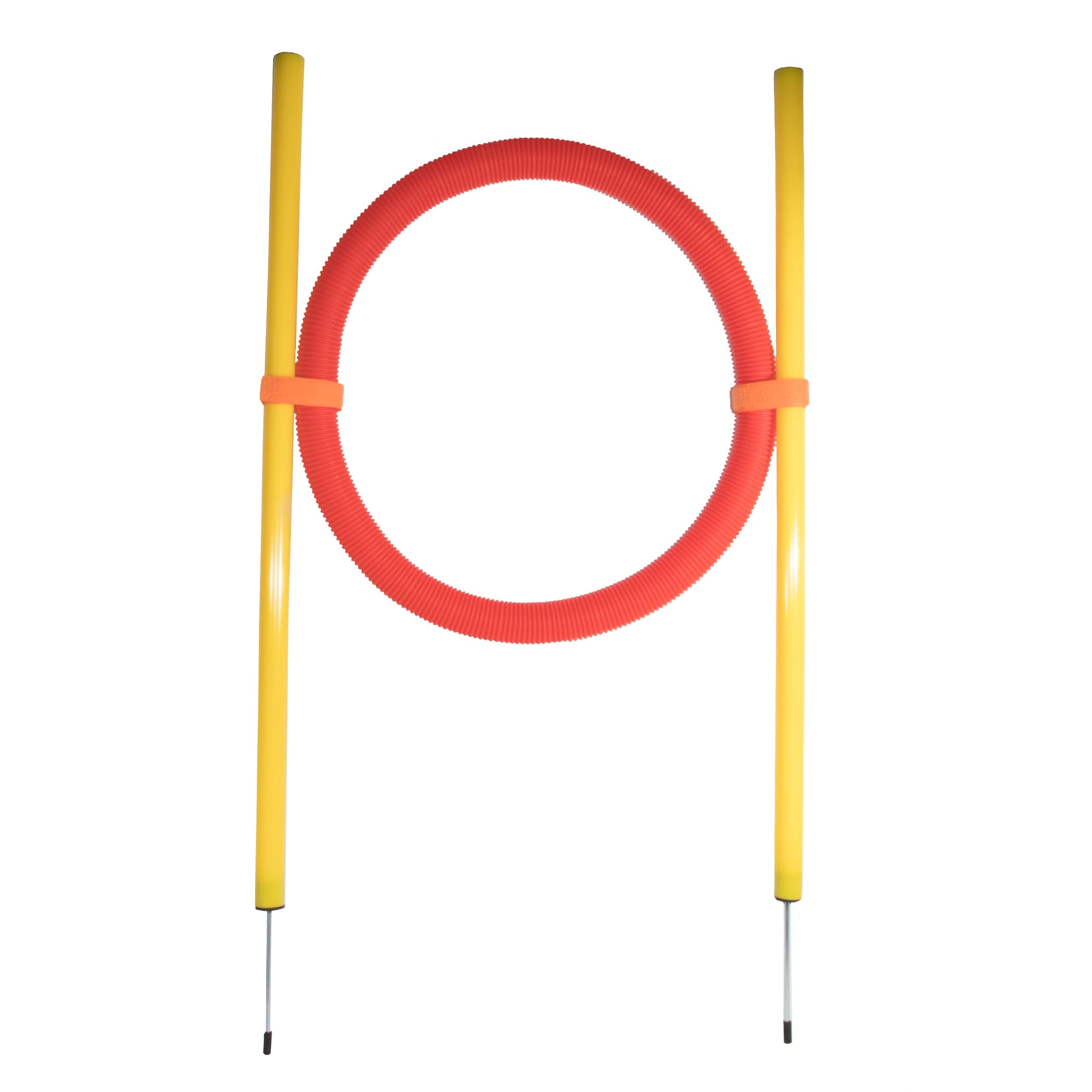 Pet Life ® Hoop Hopper Agility Dog Trainer - Collapsible Pet Trainer or Pet Training Kit Designed to Promote excersize