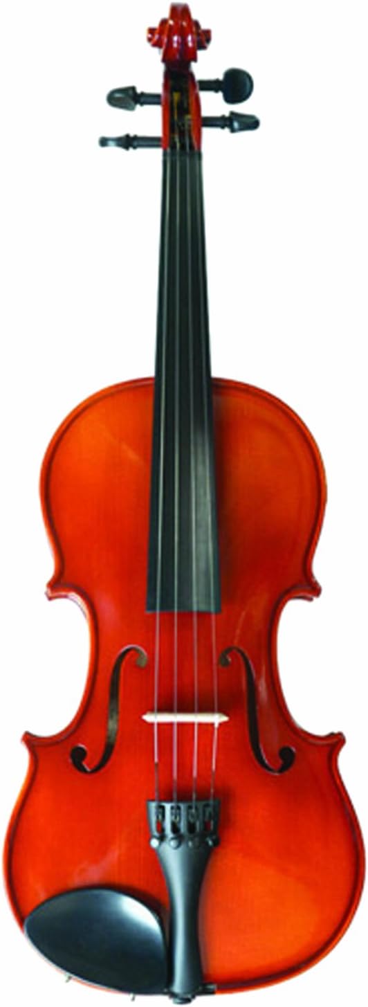 Nagoya Suzuki #220 Violin Outfit, 3/4