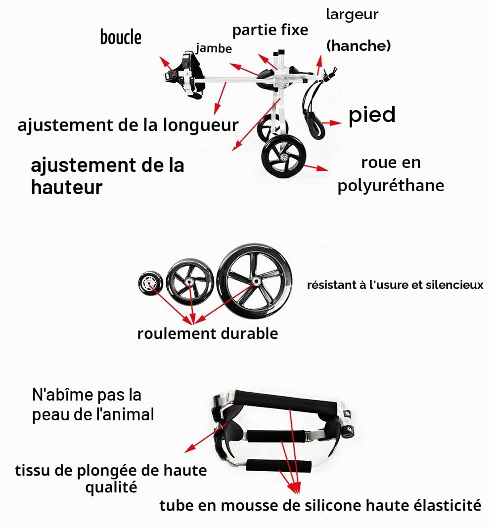 Harnais de Soutien pour Chien, Fauteuil Roulant pour Chat Lapin Handicapé Réadaptation pour Patte Arrière/Jambe Arrière, Aide à Marcher, Chariot pour Les Animaux âgés et Blessés
