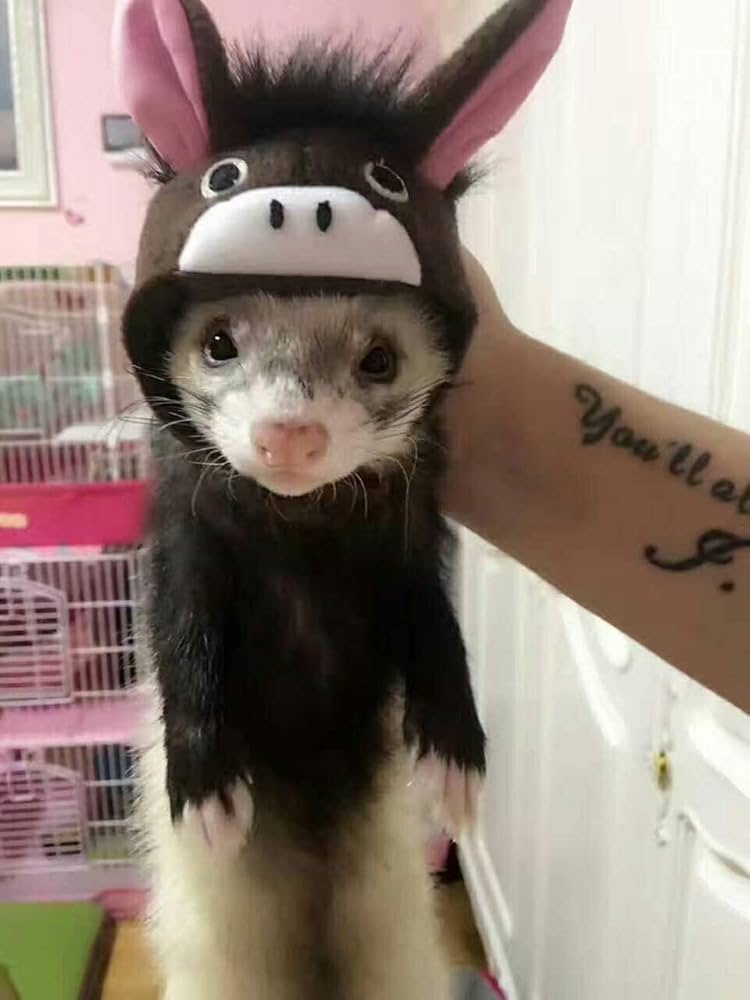 ELENI'S  FURS & CRAFTS ✨希少良品✨ ロシアンハット 毛皮 ELENI'S FURS & CRAFTS ✨希少良品✨ ロシアンハット 毛皮