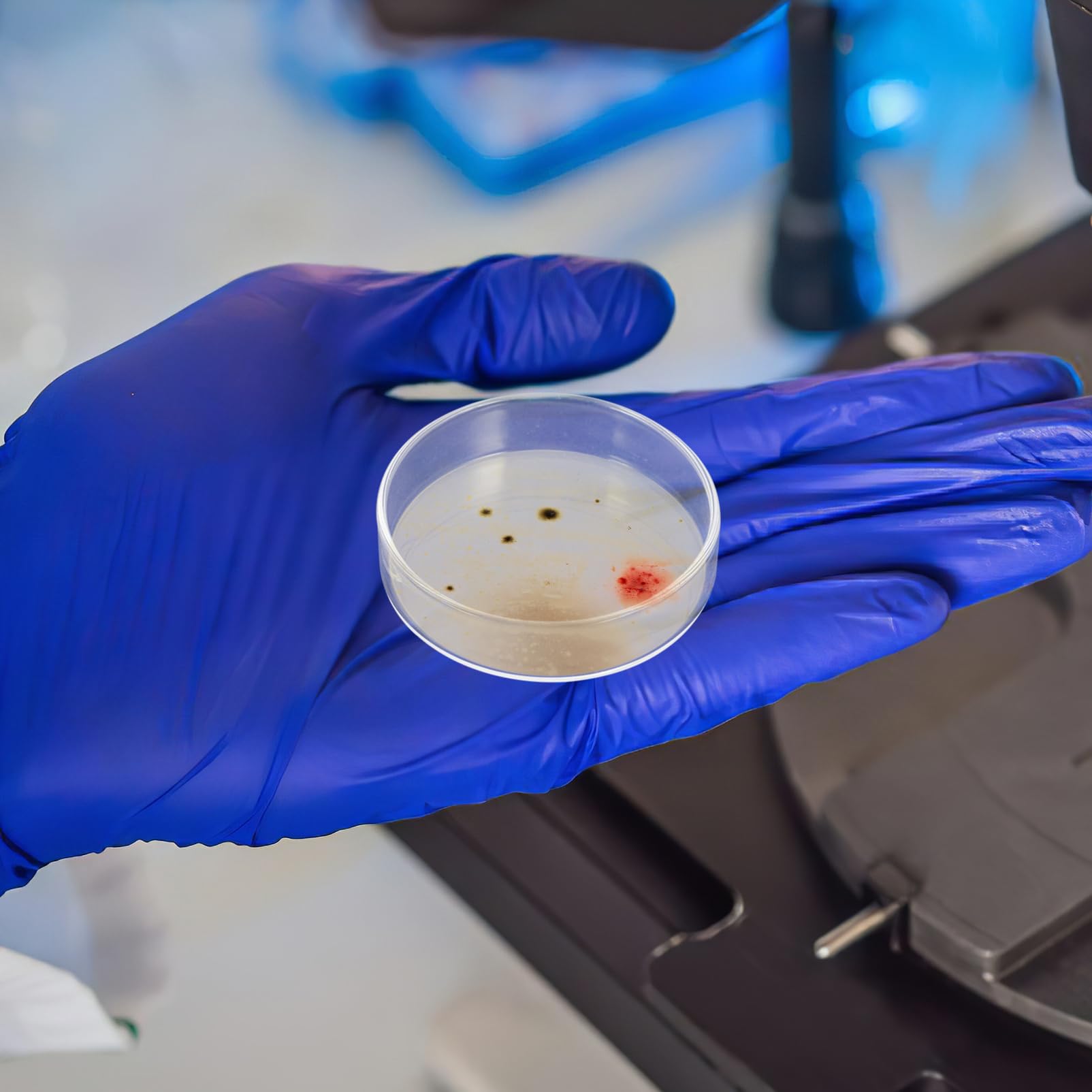 OUNONA 10stücke Labor-petrischalen aus Glas Kulturen Mikrobiologische Ausrüstung Deckel Inklusive Geeignet für Wissenschaftsprojekte Experimente und Beimpfung mit Nährmedium