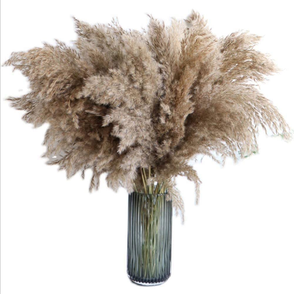 Homarket Pampas Grass Home Decor, 25pc 23.6''Natural Pampas Grass Decor Tall Dried Flowers Boho Decor,Pompous Grass/Dried Pampas Grass,for Boho Bedroom Wedding Decor