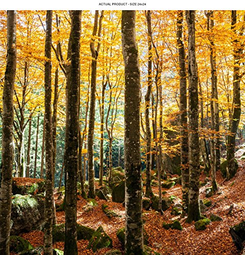 Windowpix 24x24 Inch Decorative Static Cling Window Film Fall Forest Path Printed on Clear for Window Glass Panels. UV Protection, Energy Saving.