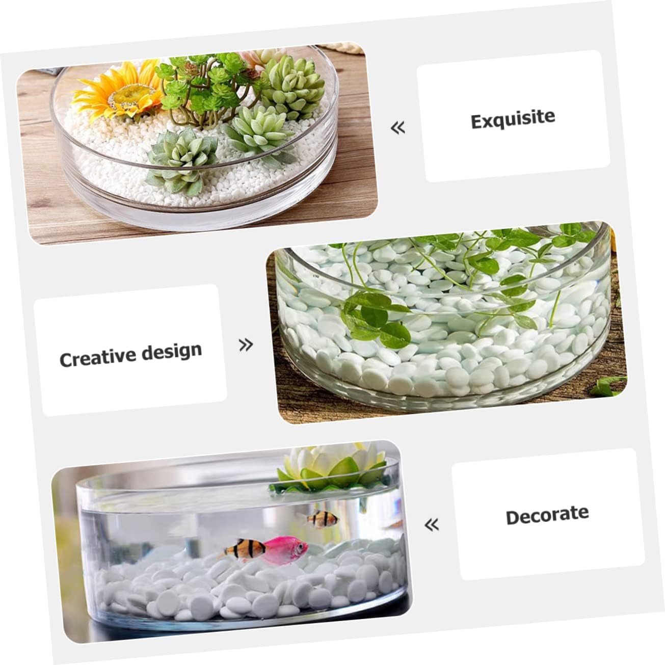 BESPORTBLE Glass Hydroponic Planter Vase for Indoor Decoration Large Round Flower Vase Wide Opening for Water Planting and Home Decor