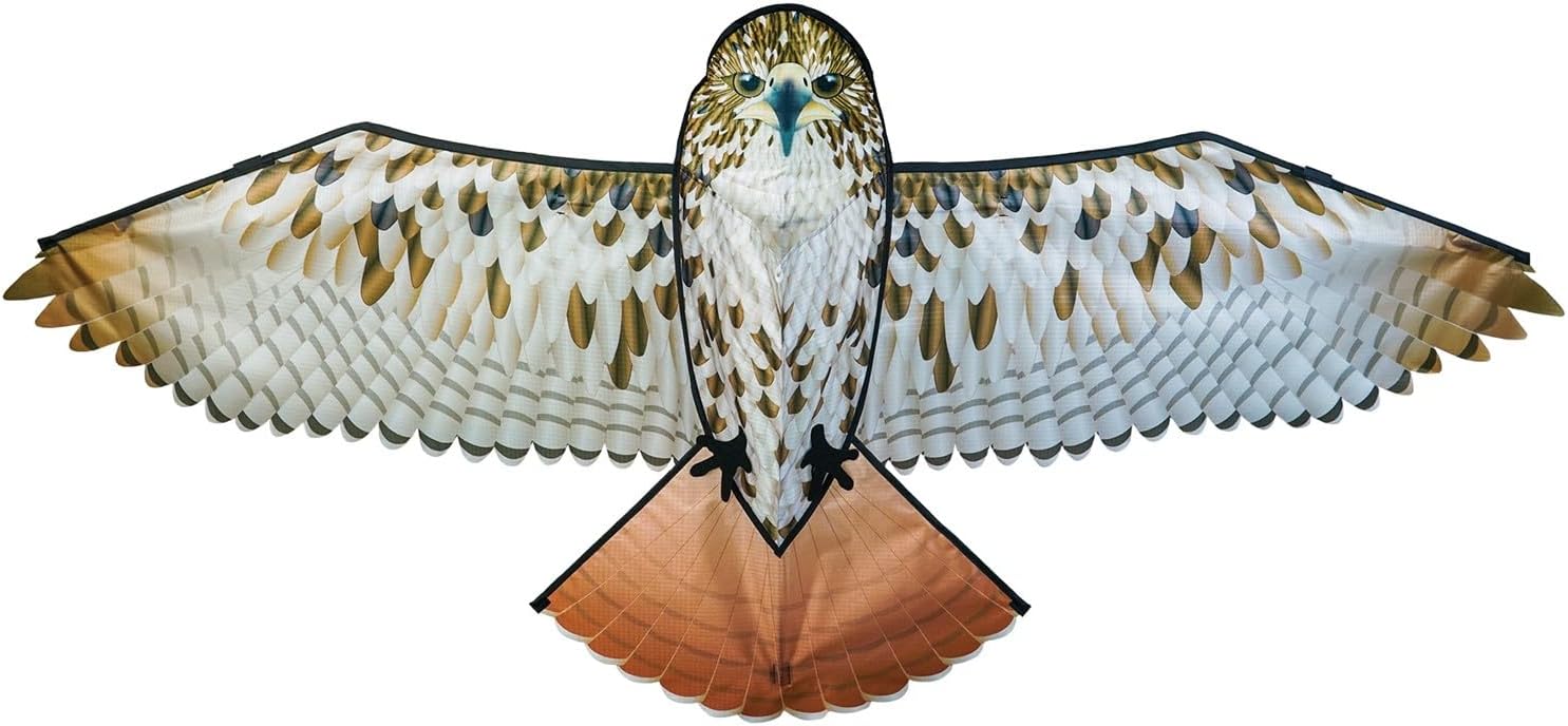 In the Breeze Bird Kites, Detailed Printed Realistic Design with Applique Details
