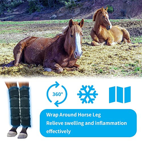 Ice Boots for Horses Ice Pack Wraps, Equine Ice Packs for Horses Injuries & Hock Swelling, 2 Reusable Cooling Therapy Gel Ice Wraps for Horses Legs with Adjustable Straps, Black 16.9\" x 16.1\" - Thumbnail 5