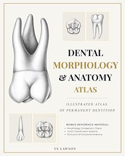 Dental Morphology & Anatomy Atlas: Illustrated Atlas of Permanent Dentition