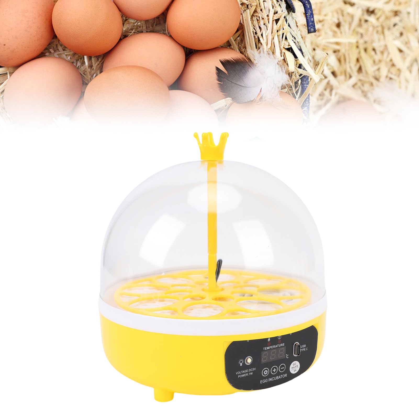 Buachois Incubatrice per uova da cova, tornitore automatico per uova con controllo dell'umidità della temperatura, mini design portatile per uova di pollo, anatra, uccelli, casa, scuola, uso educativo