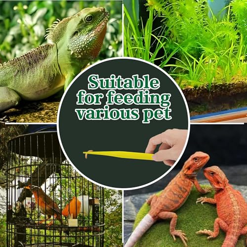 haizusai 4-Pack Reptile Feeding Tongs Set - Hygienic Anti-Slip Yellow Tweezers for Bearded Dragons, Lizards, Snakes, Aquariums & Small Animals(Five Colors to Choose from) - Thumbnail 7