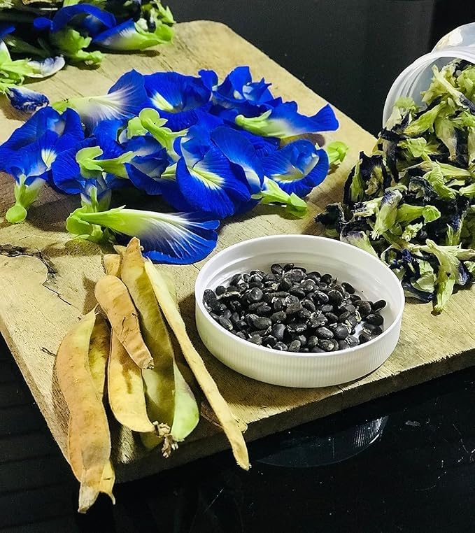 Image of Aparajita Flower Seeds - Blue Butterfly Pea, Fast Growing Climber for Home Garden | 50 seeds