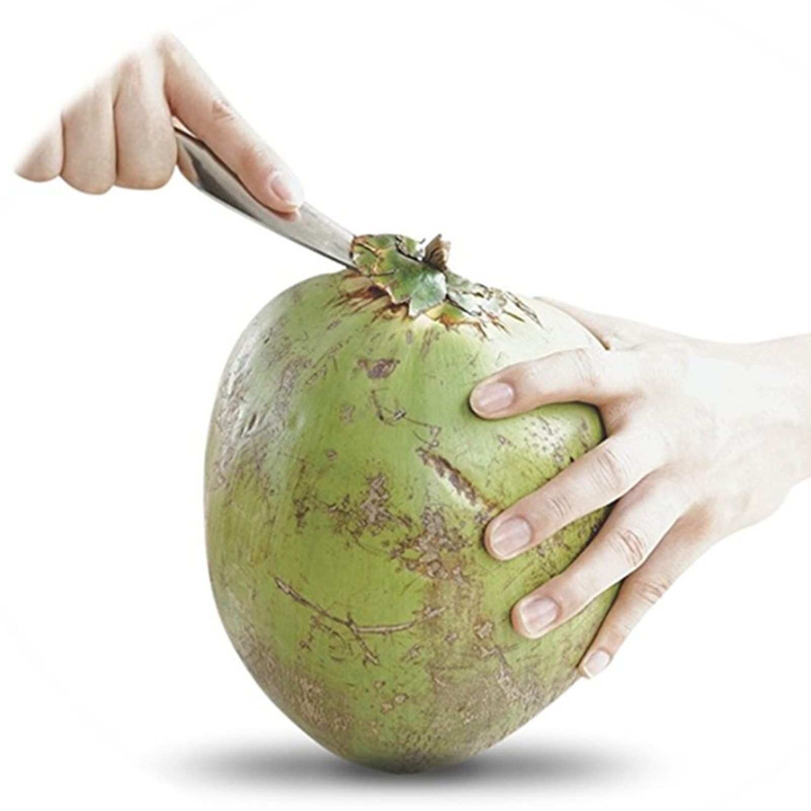 Coconut☆　 BABYVIVA Coconut Opener Tool Stainless Steel Portable and