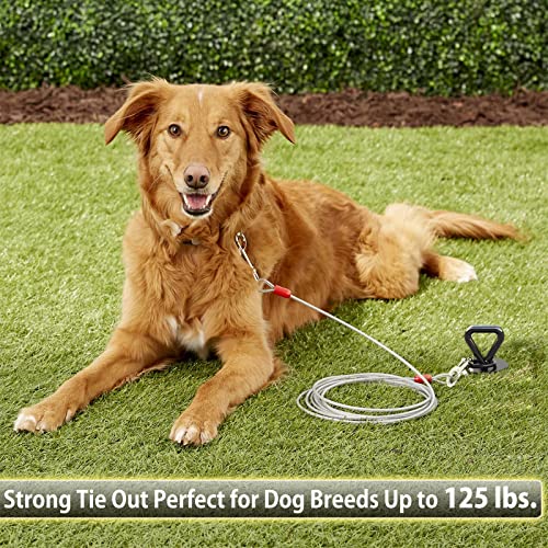 25 ft Dog Tie Out Cable and Stake – Durable & Sturdy Dog Yard Leash and Stake for Small Medium Large Dogs Up to 125lbs No Tangle Dog Leads for Yard Camping Outside (25ft – 125lbs, Black) 25 ft Dog Tie Out Cable and Stake – Durable & Sturdy Dog Yard Leash and Stake for Small Medium Large Dogs Up to 125lbs No Tangle Dog Leads for Yard Camping Outside (25ft – 125lbs, Black)