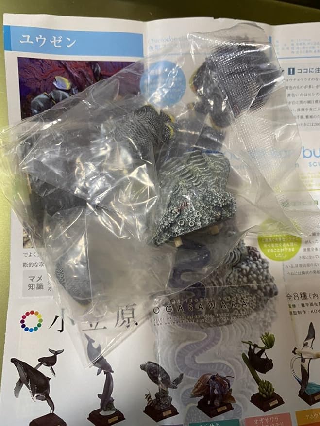 超激レア・絶版品 ネイチャーテクニカラー 小笠原 ガチャ 全8種類】