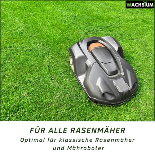 Rasensamen schnellkeimend 1kg 40qm – Frühjahr und Sommer Premium Grassamen Nachsaat, dichter strapazierfähiger Rasen, Mähroboter geeignet – kräftiges Wachstum, RSM Qualität,