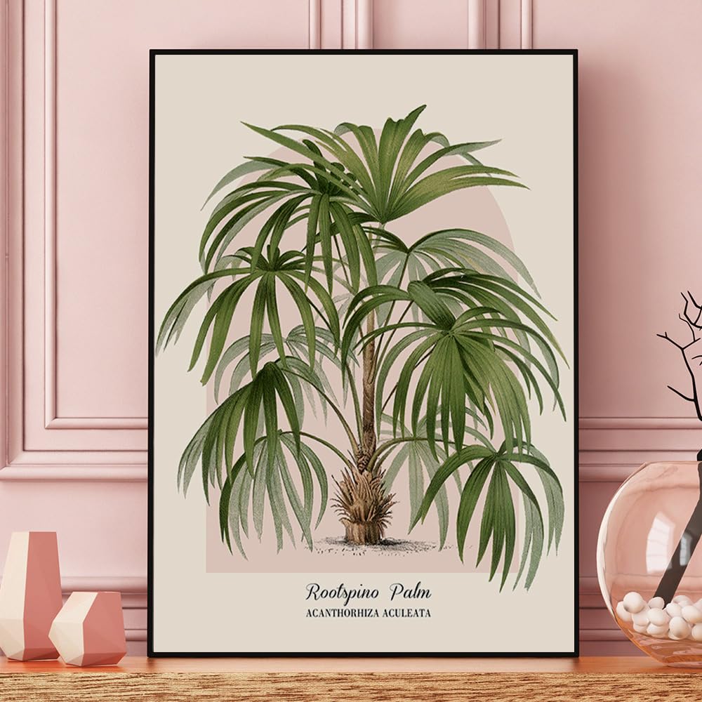 Vintage palma botaniczne wydruki ścienne, tropikalna roślina plakat na