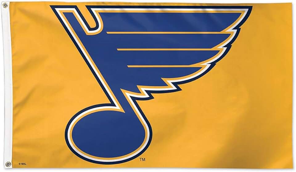 Amazon.com: St Louis Blues Garden Flag