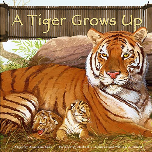 A Tiger Grows Up by Anastasia Suen, Michael Denman, William Huiett episode artwork