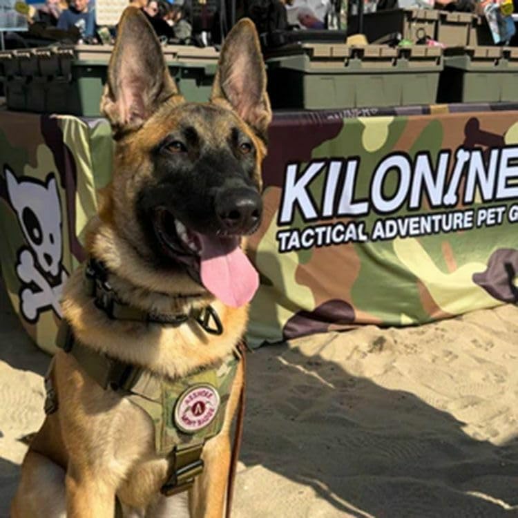 Amazon | 【KILONINER】【 2023改良モデル】 キロナイナー ハーネス 犬