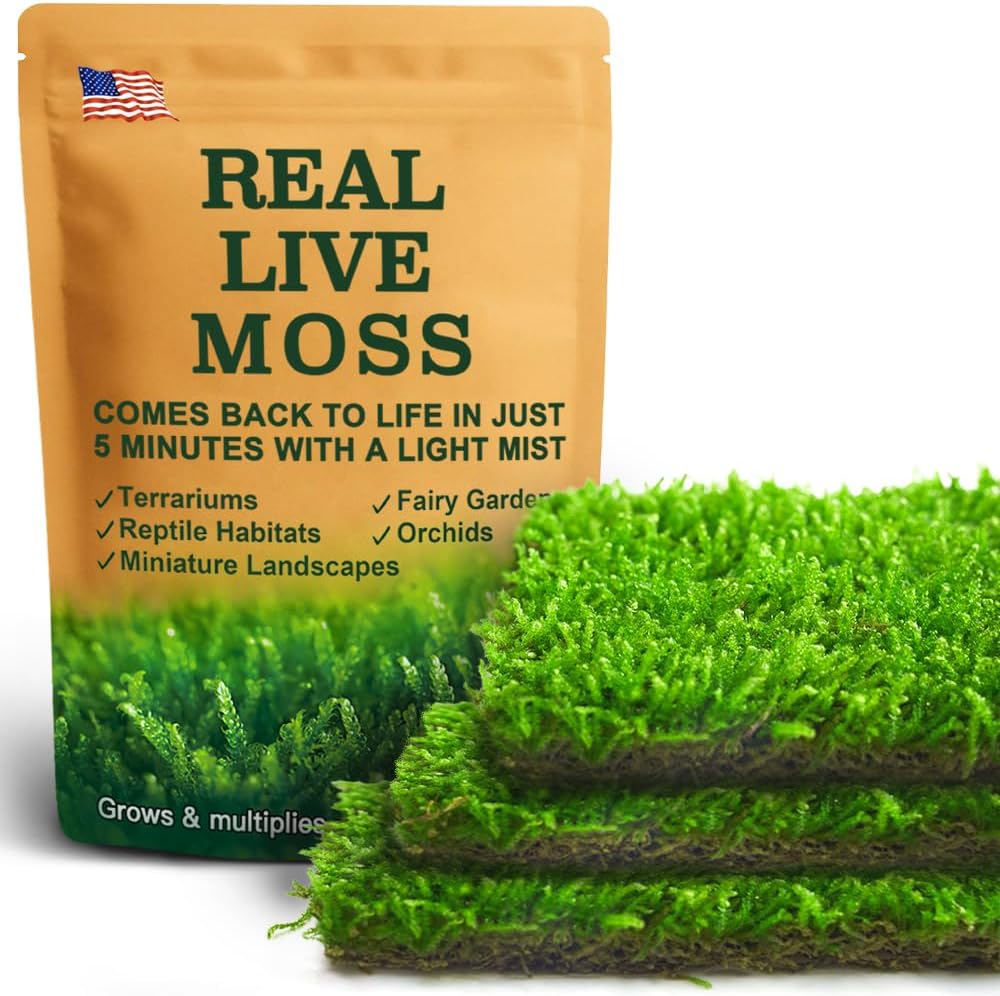 Real Live Hypnum Moss (8"x8") – Natural Sheet Moss for Terrariums, Bonsai, Reptile Habitats & Fairy Gardens – Reusable, Easy to Shape & Revives Quickly with Mist
