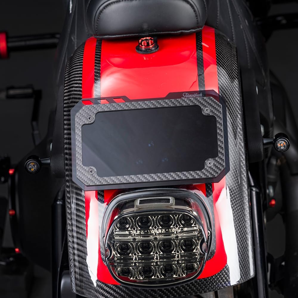 Advanblack License Plate Frame with Base Mount Fit for Harley Motorcycle with 3-Hole Mount (Smoke License Plate)