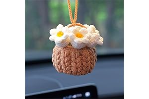 Rearview Mirror Succulent Crochet Hanging Plant Pot
