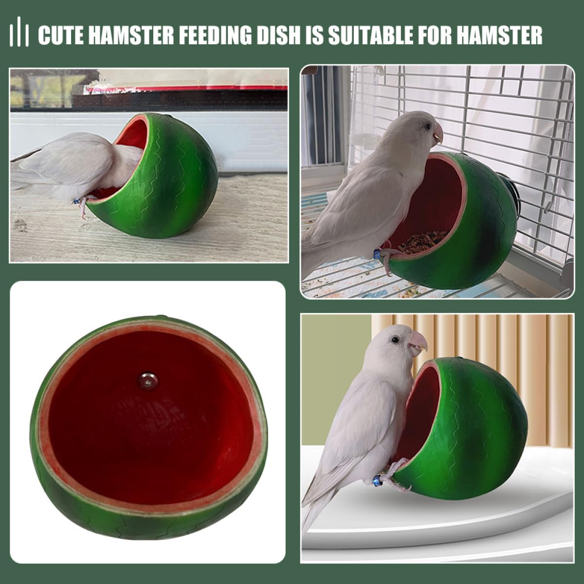 Toddmomy Hanging Small Hamster Water Bowl Washable Cage Rat Food Dish Compact Replaceable Feeding Bowl for Hamsters Guinea Pigs Chinchillas Small Animals