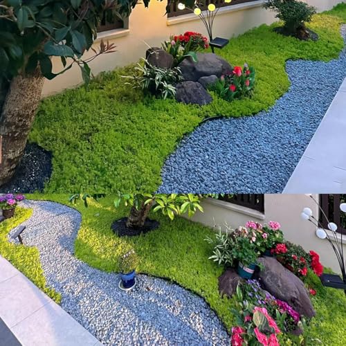 JDXN No Dig Landscape 2 Inch Tall Edging Garden Edging Landscape Edging Comes with Spikes for Landscaping, Flower Gardens, Lawn (Black, 20FT)
