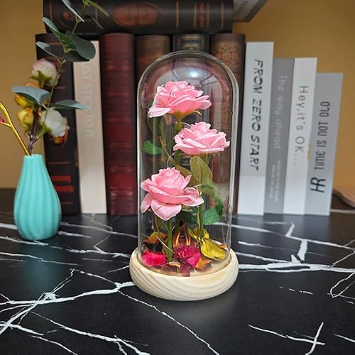 o  ͂Ȃ KN LEDCgt dro ԑMtg o^Cf[ ̓ j ??a LO NX}X VN ސE jɍœK ޏւ̃v[g (3̉ sN)