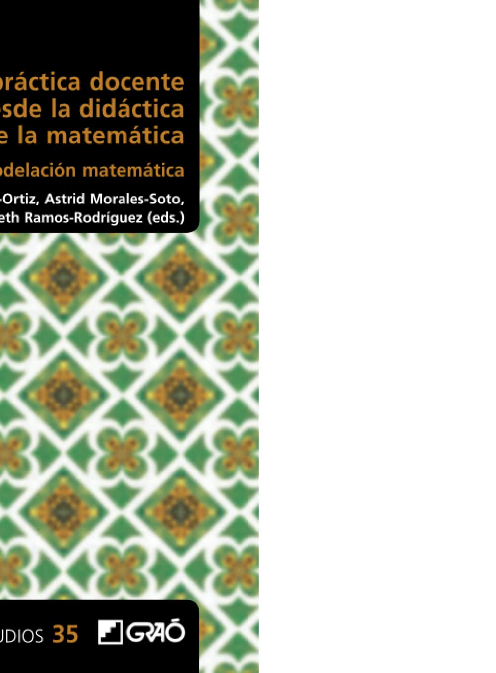 Aportes a la práctica docente desde la didáctica de la matemática: Modelación matemática (Didáctica de las matemáticas / Investigación educativa) (