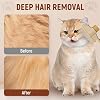 Pet Hair Removal Comb Flea Comb, Cat Brush for Short and Long Hair Cats, Cat Hair Grooming Brush, Cat Brush with Release Button, De-Shedding Cat Hair Comb, Cat Grooming Supplies (Green × 1pcs)