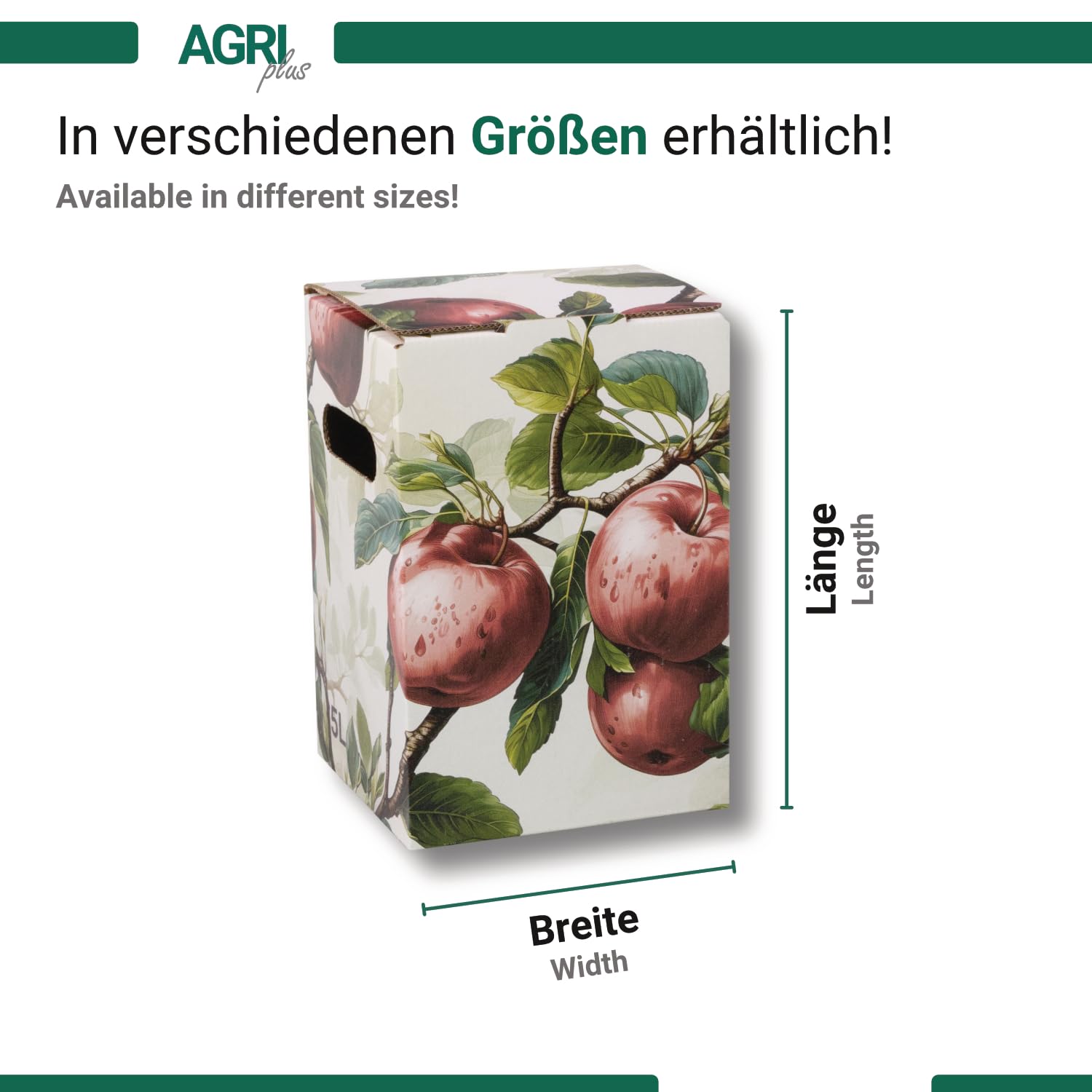 AGRI plus Karton für Bag-in-Box Beutel I 5 Liter I 50 Stück I Ohne Beutel I Hochwertige Karton-Box mit Rote-Äpfel-Motiv I Bis zu 40 x wiederverwendbar I Bag-in-Box für Apfelsaft, Saft & Wein