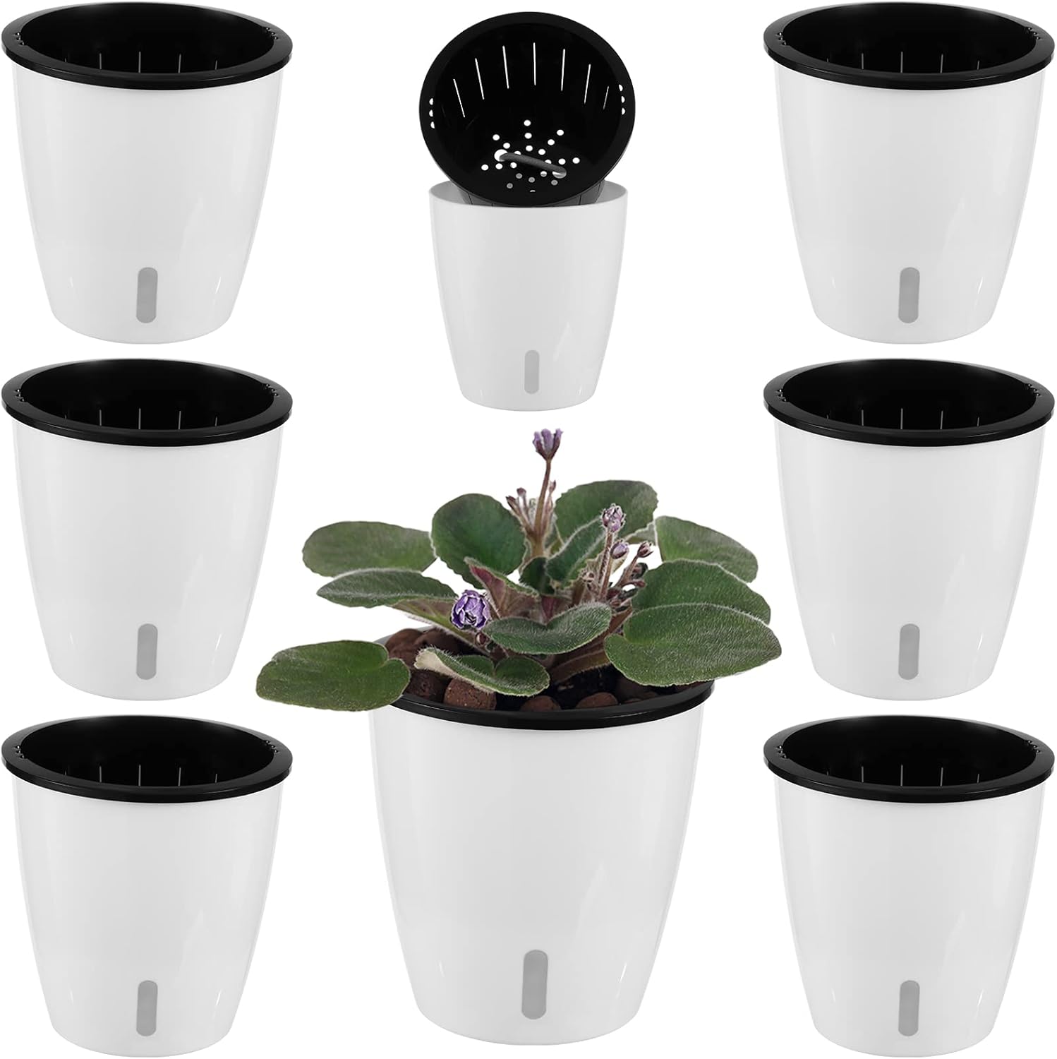 6 Pack 5 Inch Self Watering Pots for Indoor Plants with