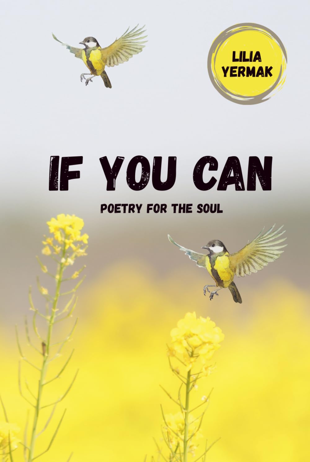 If You Can: Poetry for the Soul