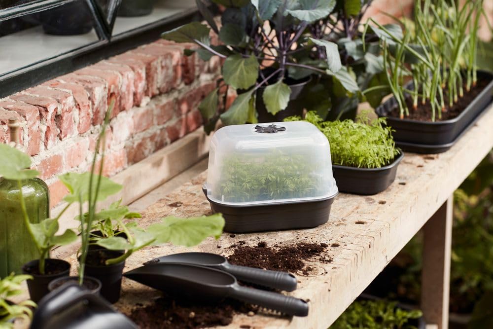 elho Gb Gyo Set S und Pflanzstift - Leaf Green | L 16.5 x B 23.5 x H 17.5 cm | 5 Artikel Enthalten