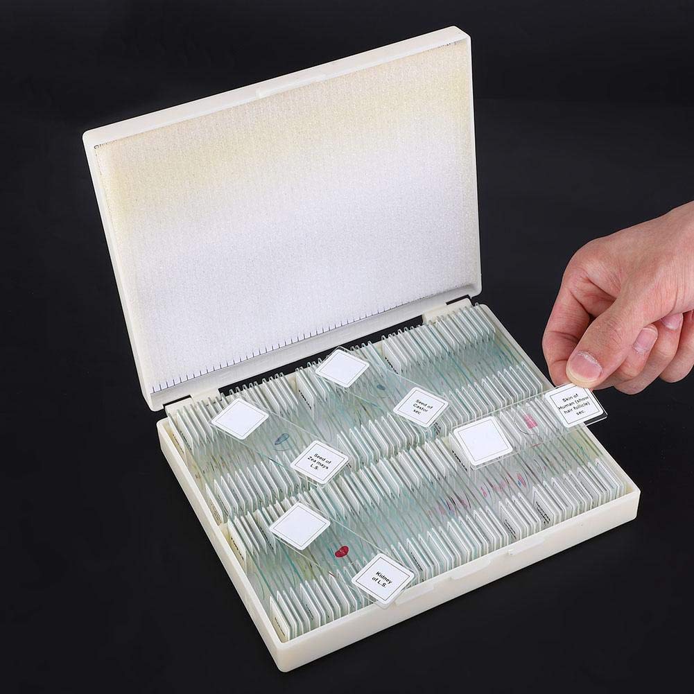 100 piezas Juego de portaobjetos preparado Portaobjetos de microscopio preparado Laboratorio Surtido de muestras Accesorios para microscopios