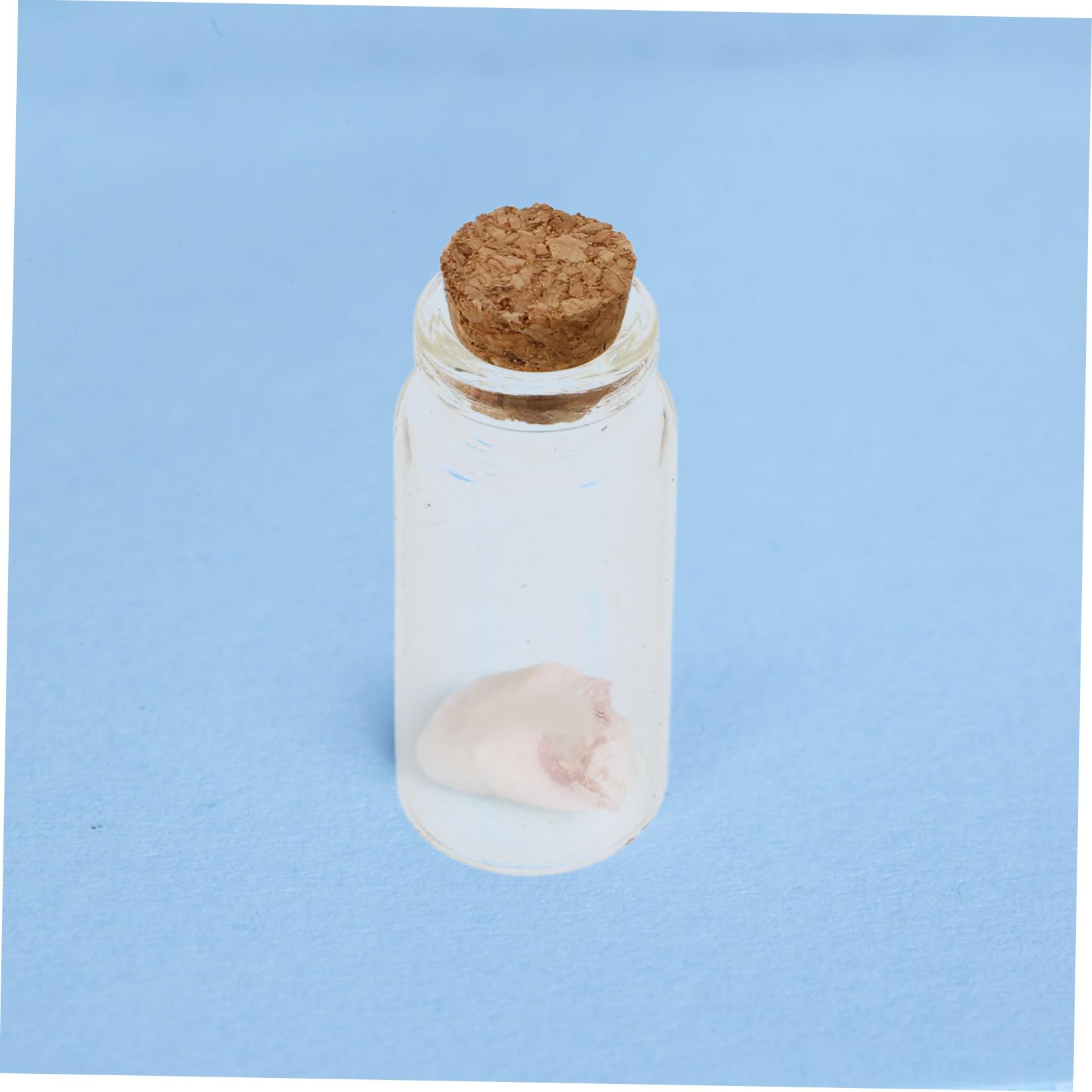 Unomor 1Sets Keepsake Box for Cord Fetal Hair Teeth Charming Memory Storage for Newborns present for Showers Bottles Included