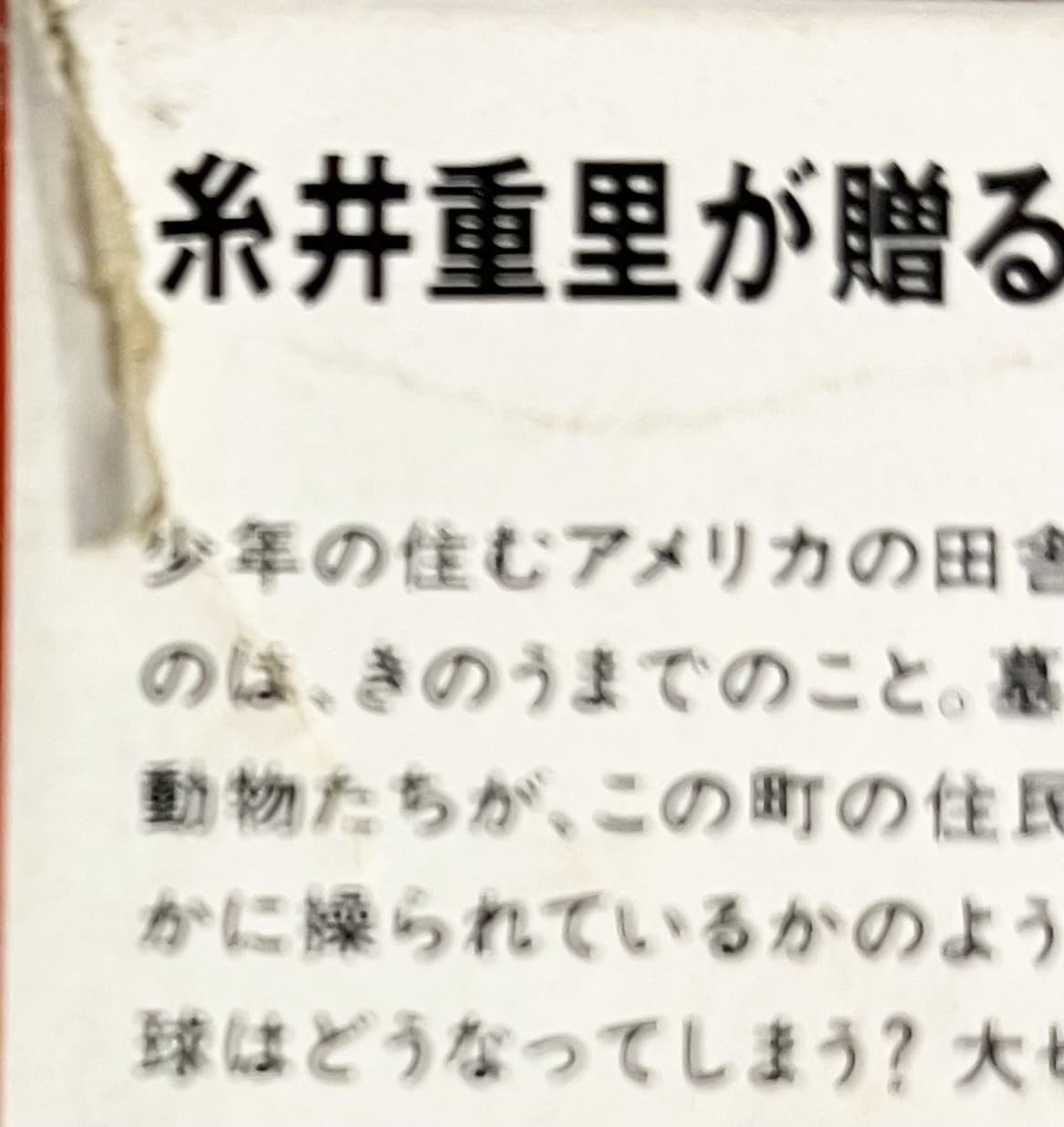 Amazon.co.jp: マザー : ゲーム