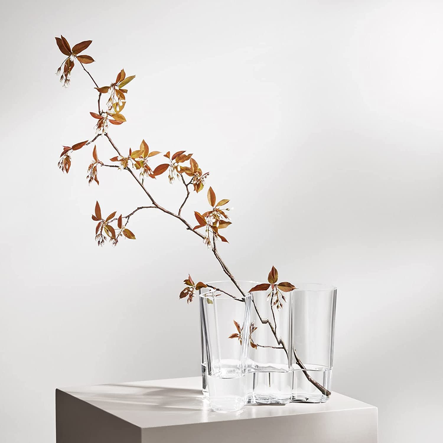 Amazon.co.jp: Iittala Alvar Aalto 1007041 透明なクリスタルガラスの