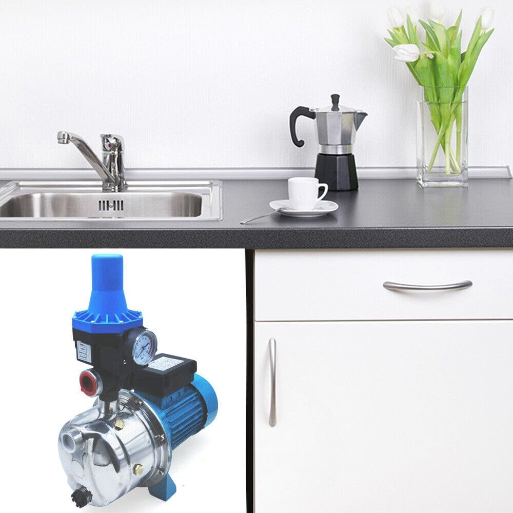 Pompa centrifuga da giardino, 1100 W, con controllo della pompa, pompa centrifuga per impianto idraulico domestico